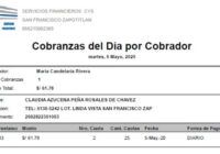 Cobranzas del Dia por Cobrador