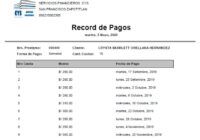 Record de Pagos